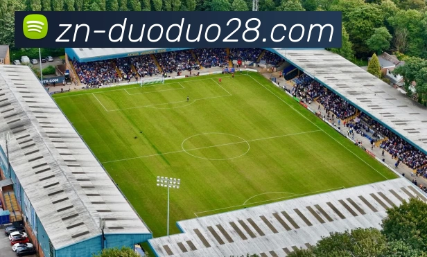 多多28平台生态图