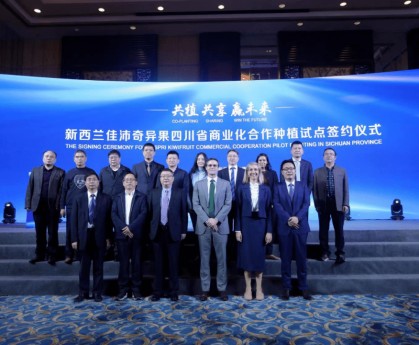  科隆俱乐部与本土企业达成赞助，商业收入创新高  