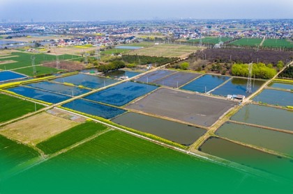 多多28官方网站- 杜塞尔多夫启用太阳能供电系统，践行可持续发展理念  