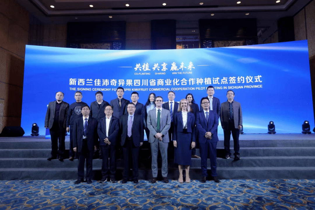  科隆俱乐部与本土企业达成赞助，商业收入创新高  